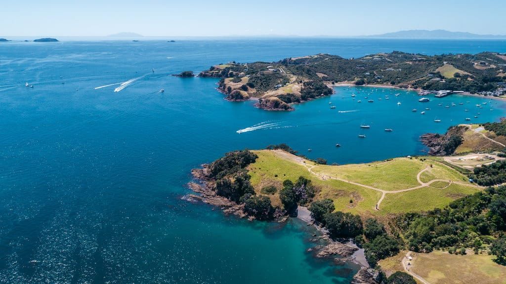 Waiheke Wanderings: Wine, Waves, and a Little Bit of Magic