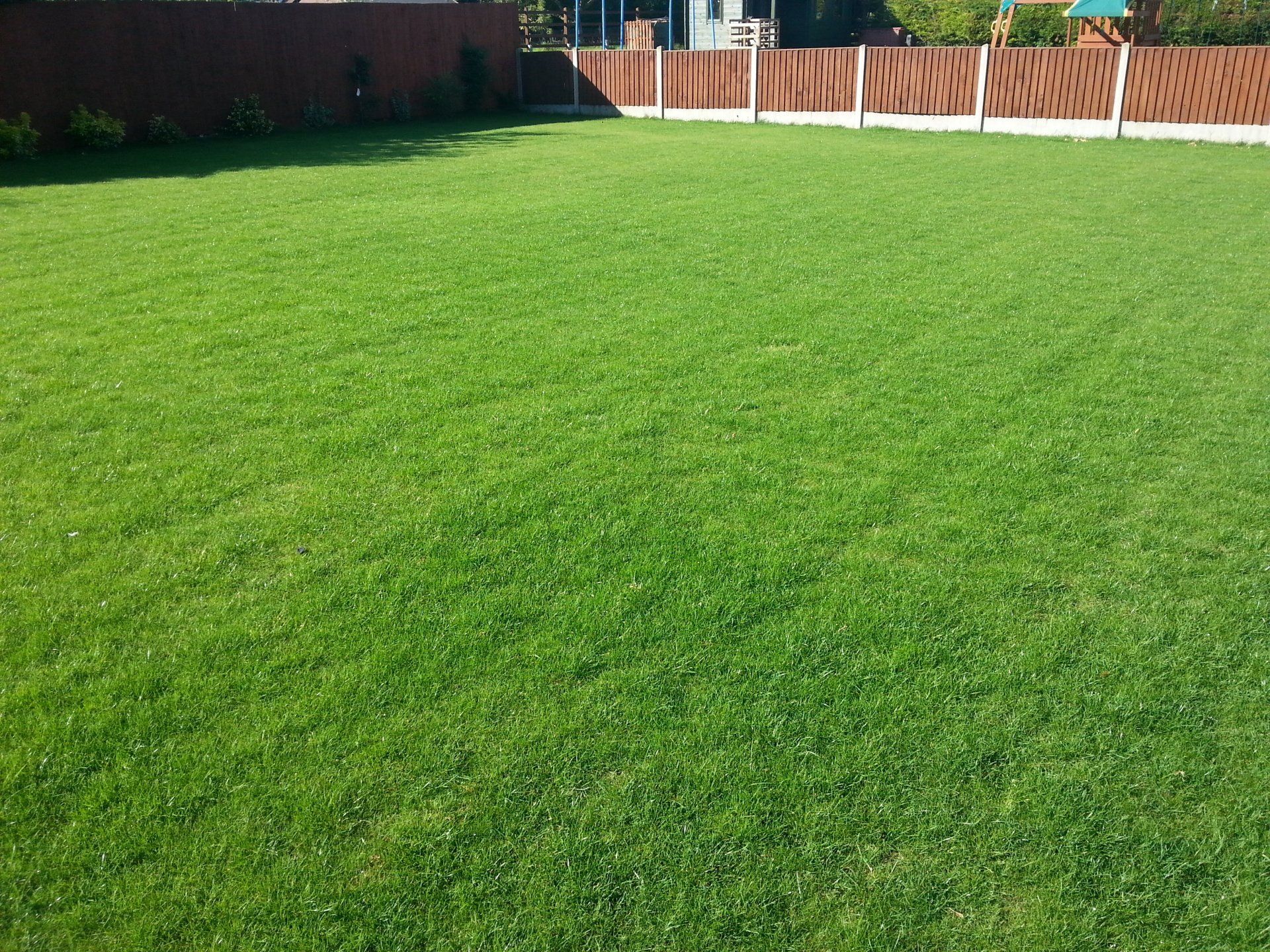 green grass lawn and garden