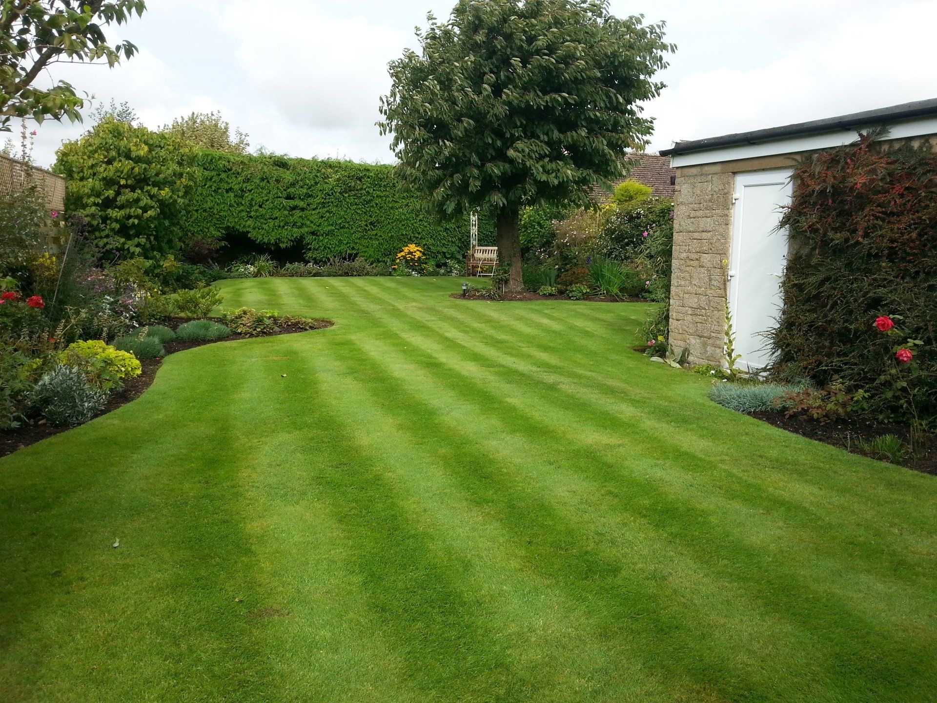 green grass lawn and garden