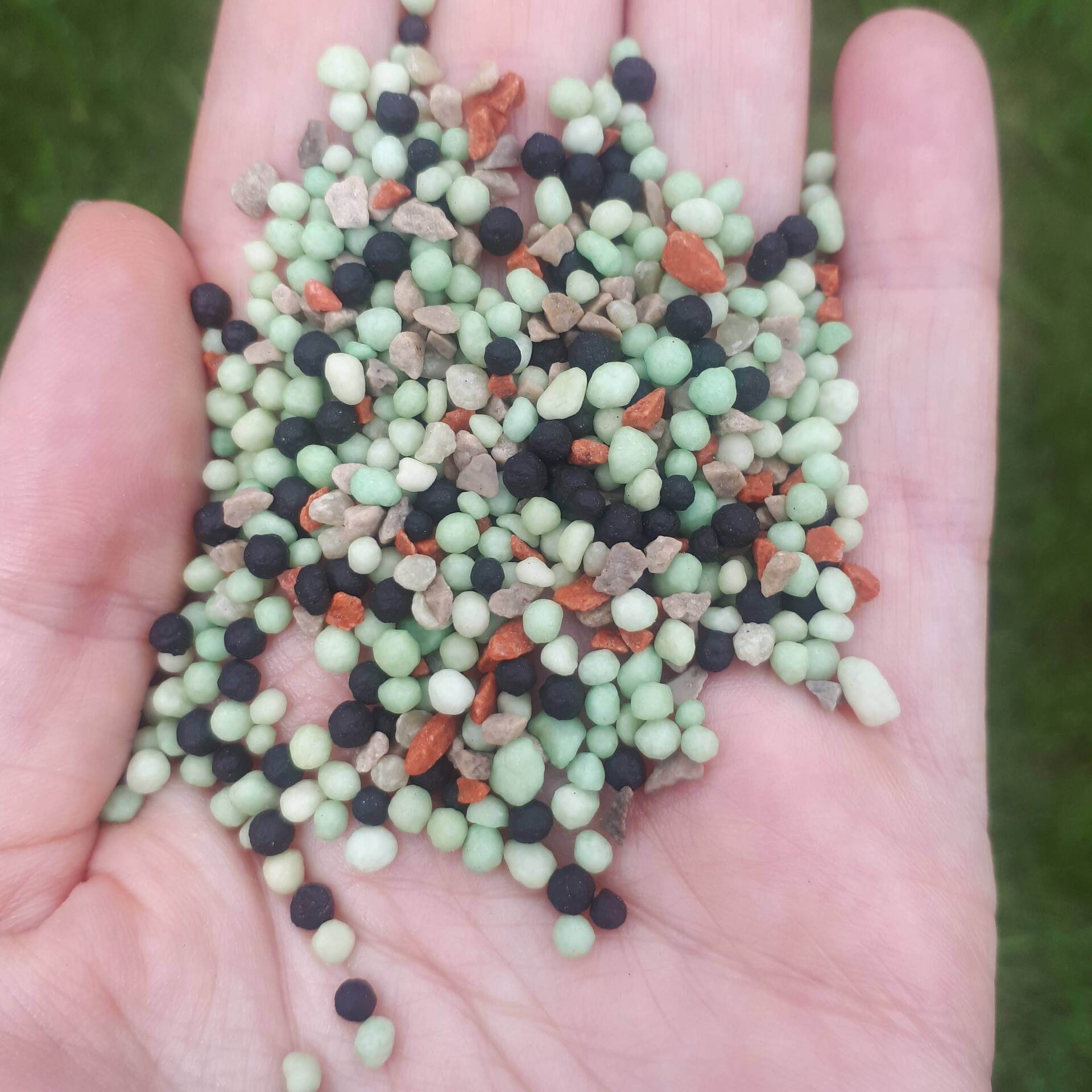 lawn fertiliser apply to green grass lawn