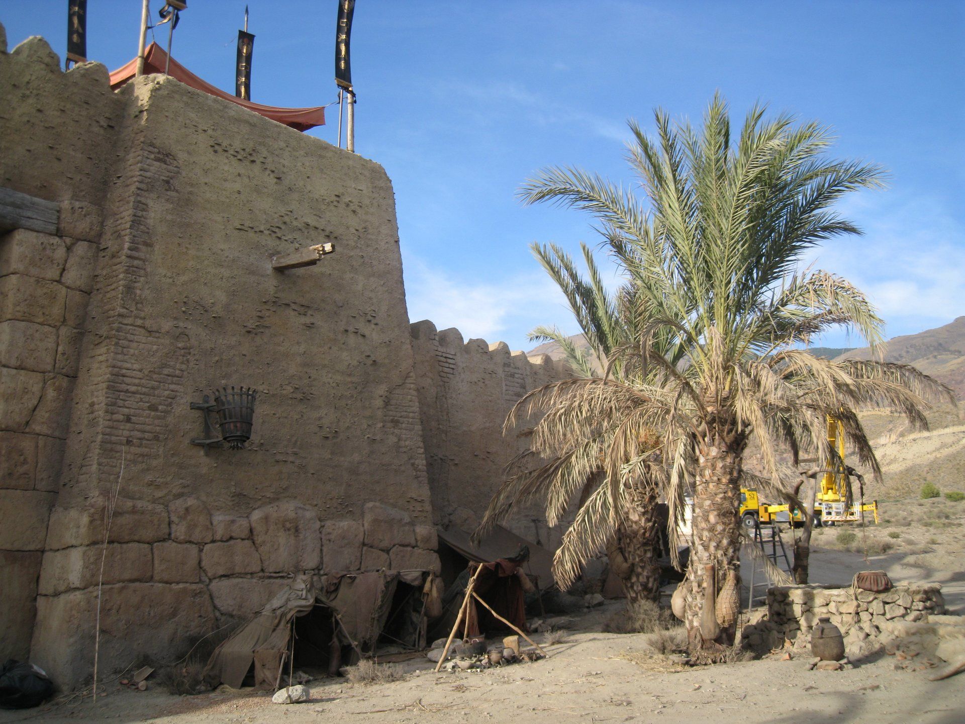 Una palmera está delante de un muro de piedra.