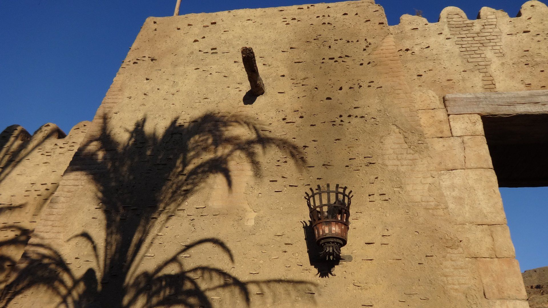 La sombra de una palmera se proyecta en el costado de un edificio.