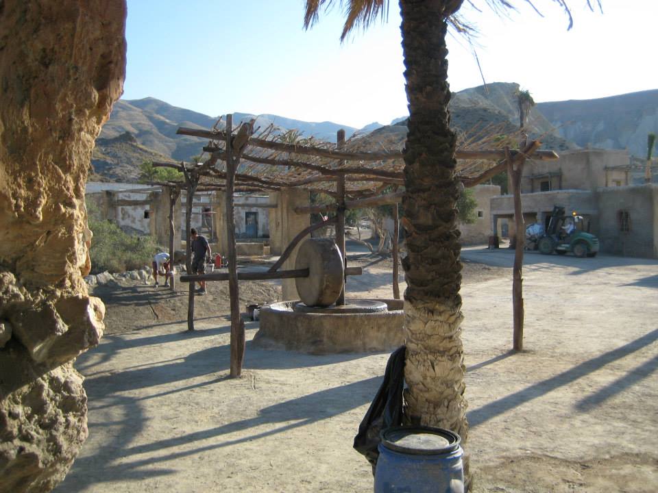 Una palmera se encuentra en medio de un área de tierra.