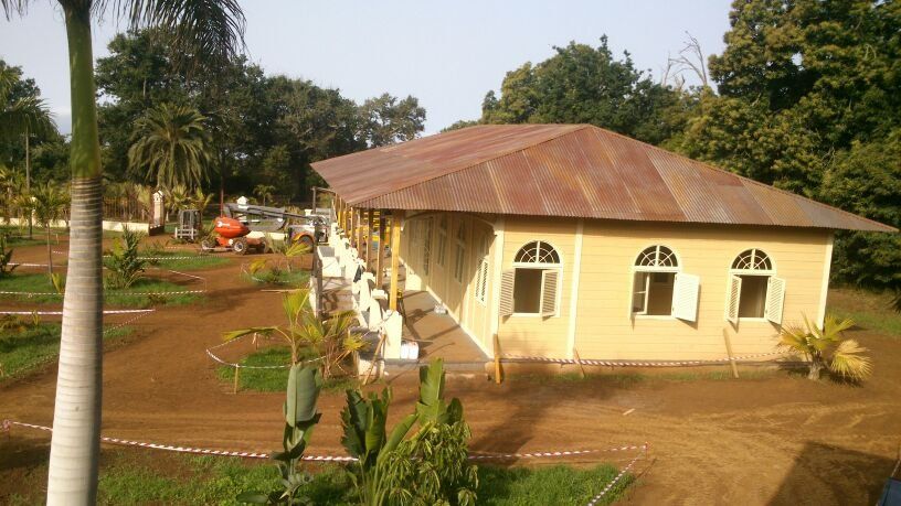 Una casa amarilla con techo de hojalata está rodeada de árboles.