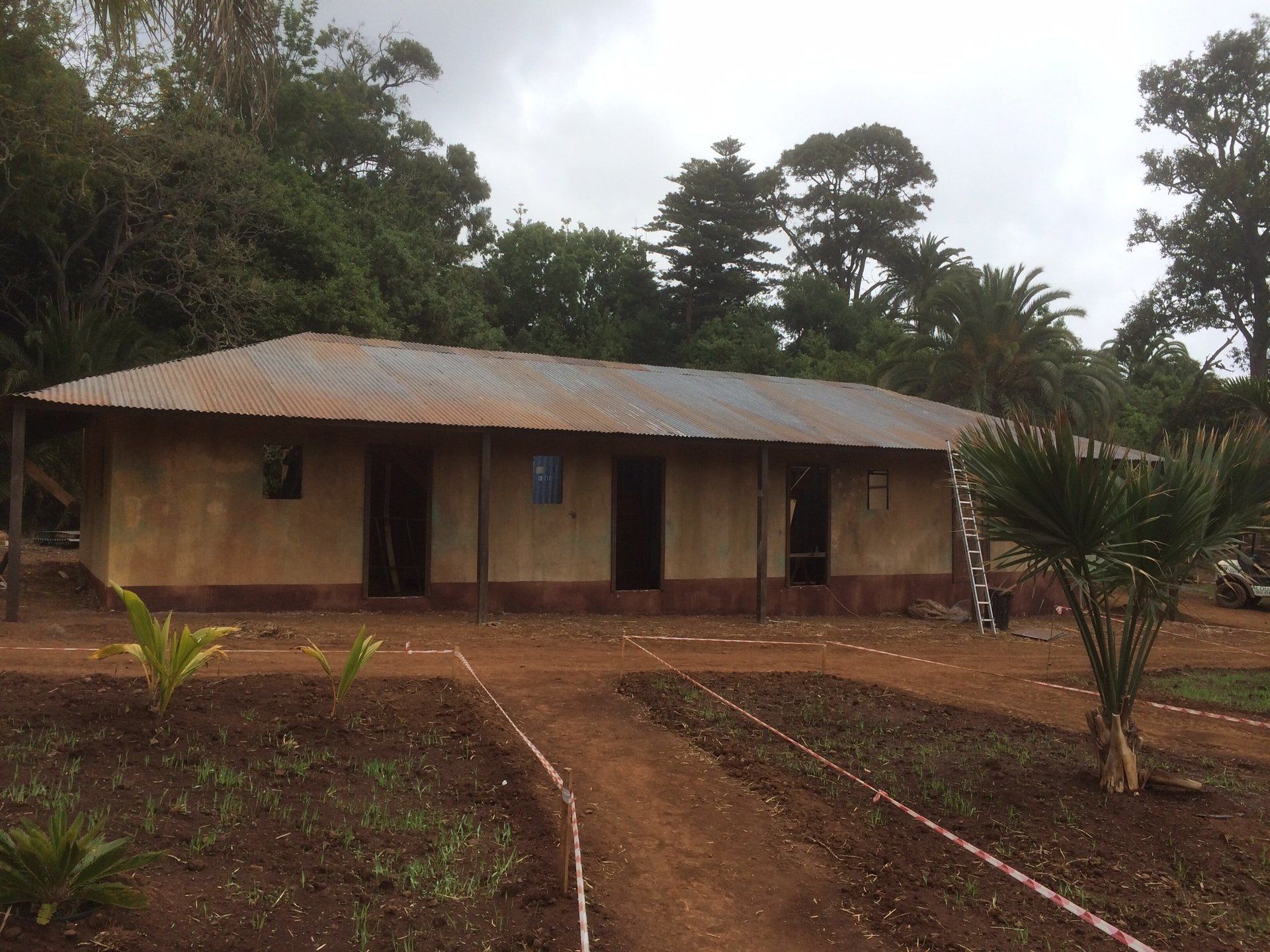 Una casa con techo de metal está rodeada de árboles y tierra.