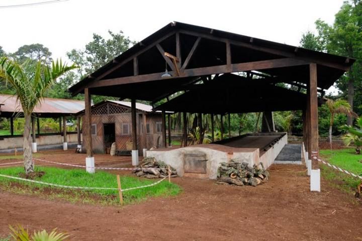 Un edificio con techo de madera está rodeado de césped y árboles.