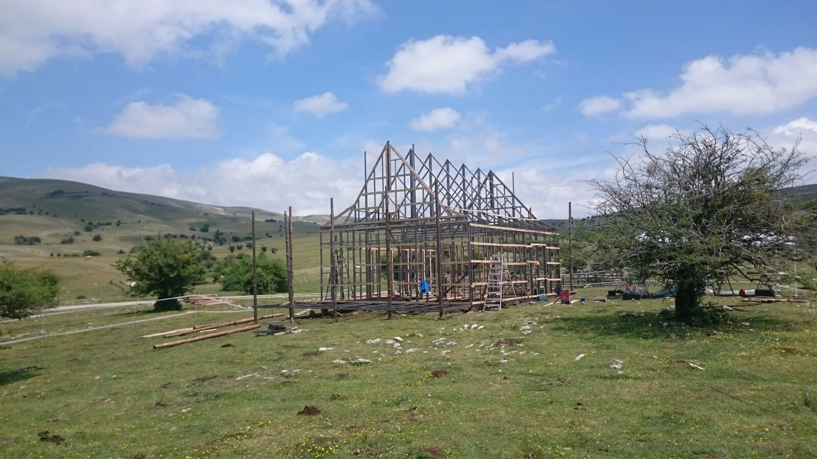 Se está construyendo una estructura de madera en medio de un campo de hierba.