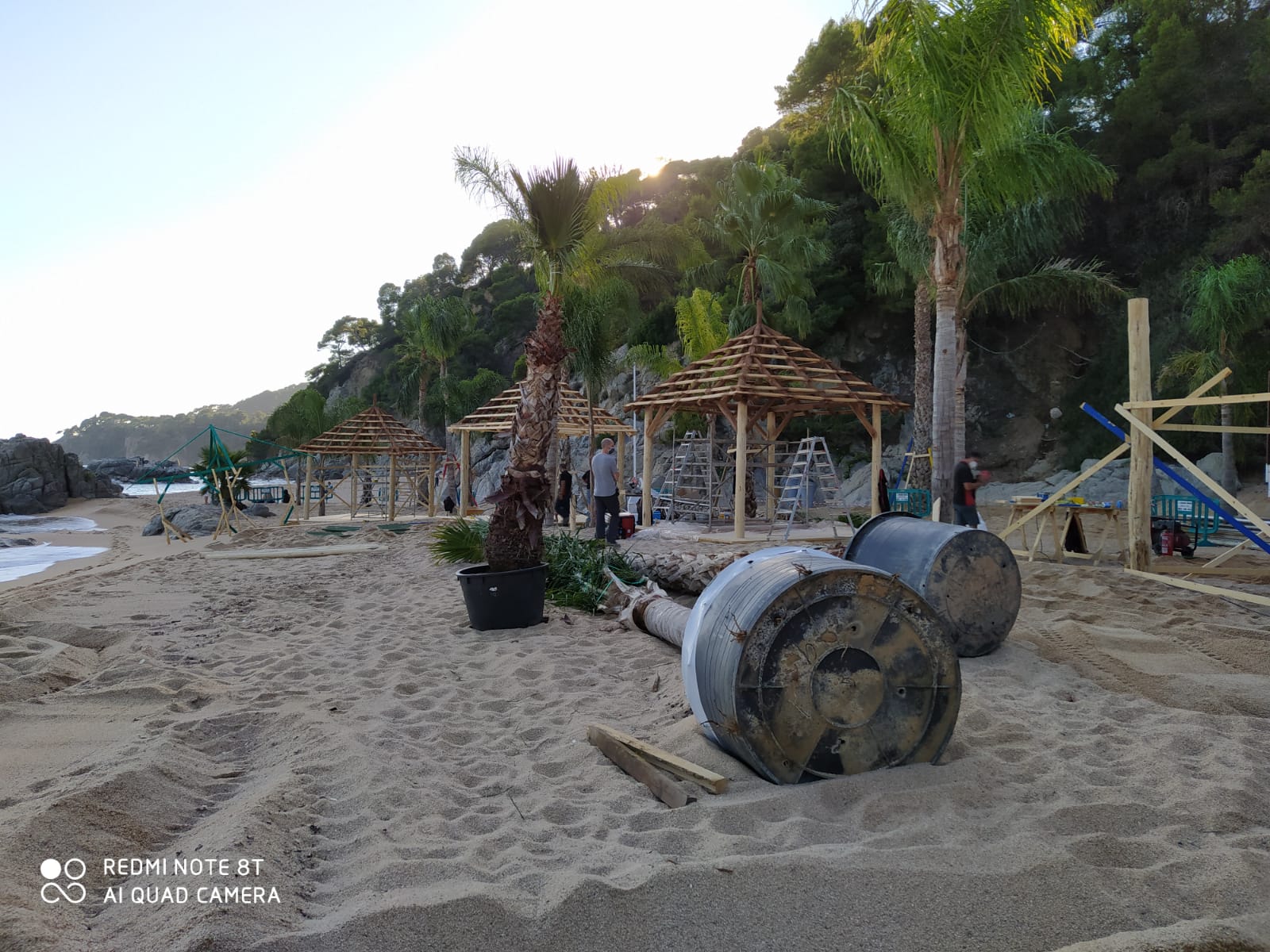 Una playa con muchos árboles y barriles en la arena.