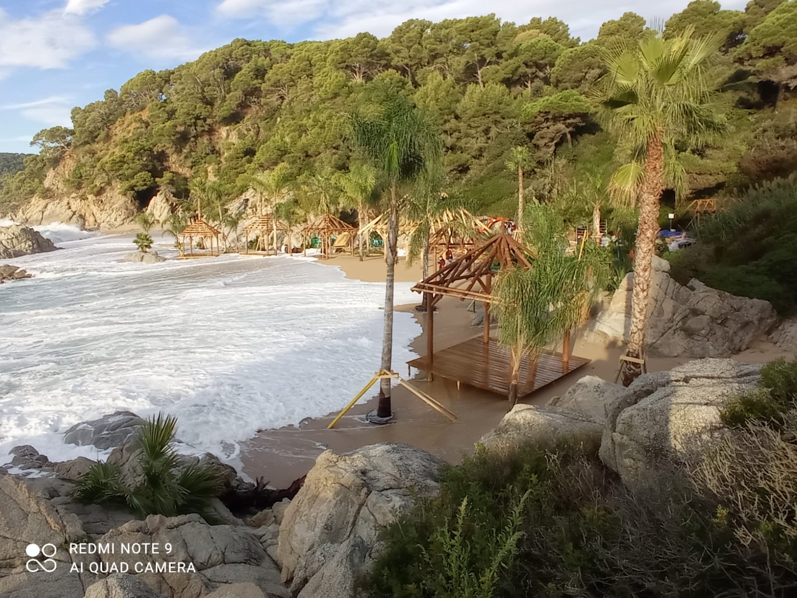 Una playa con palmeras y una cabaña en ella.