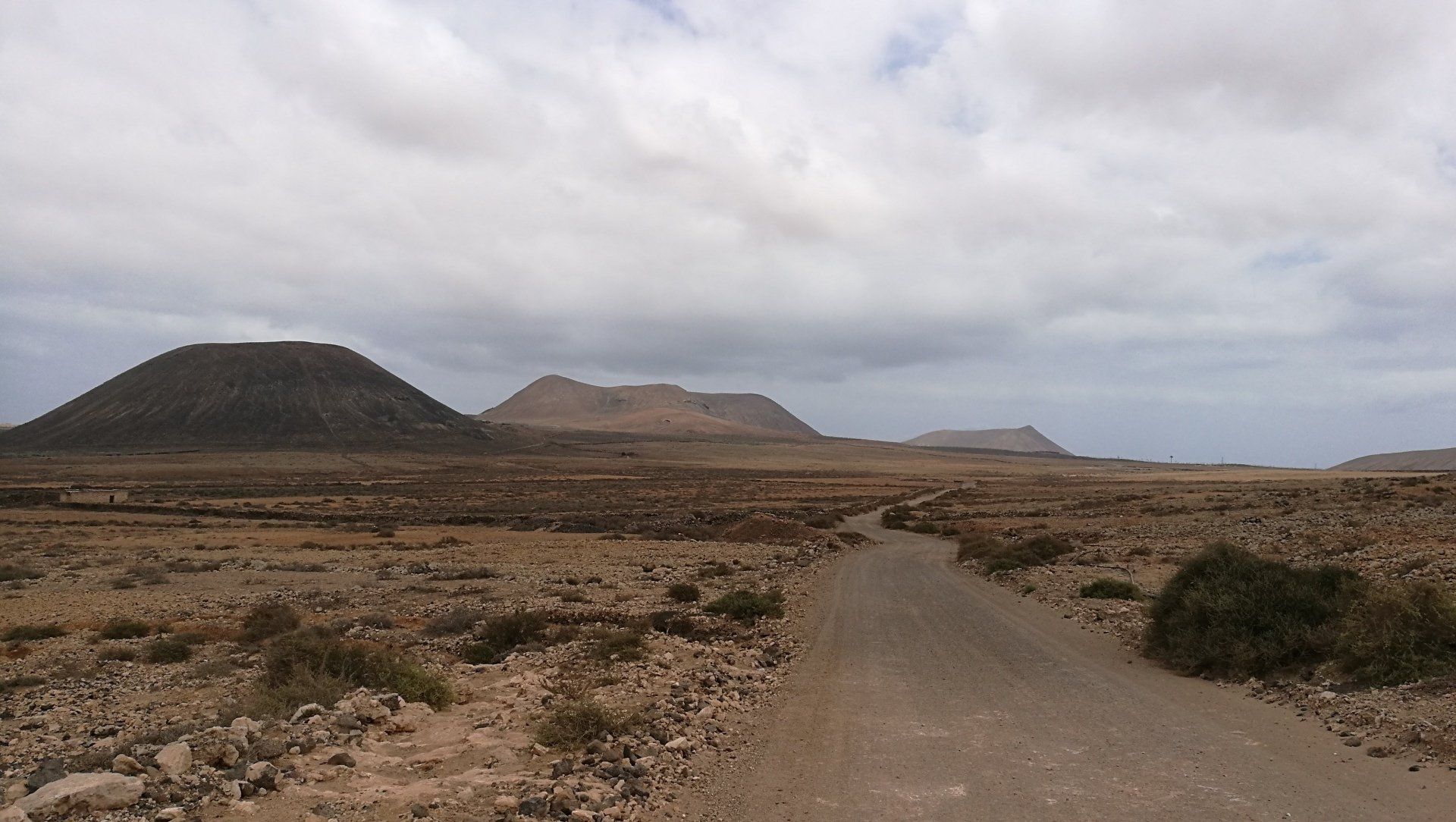 Un camino de tierra en el desierto con montañas al fondo.