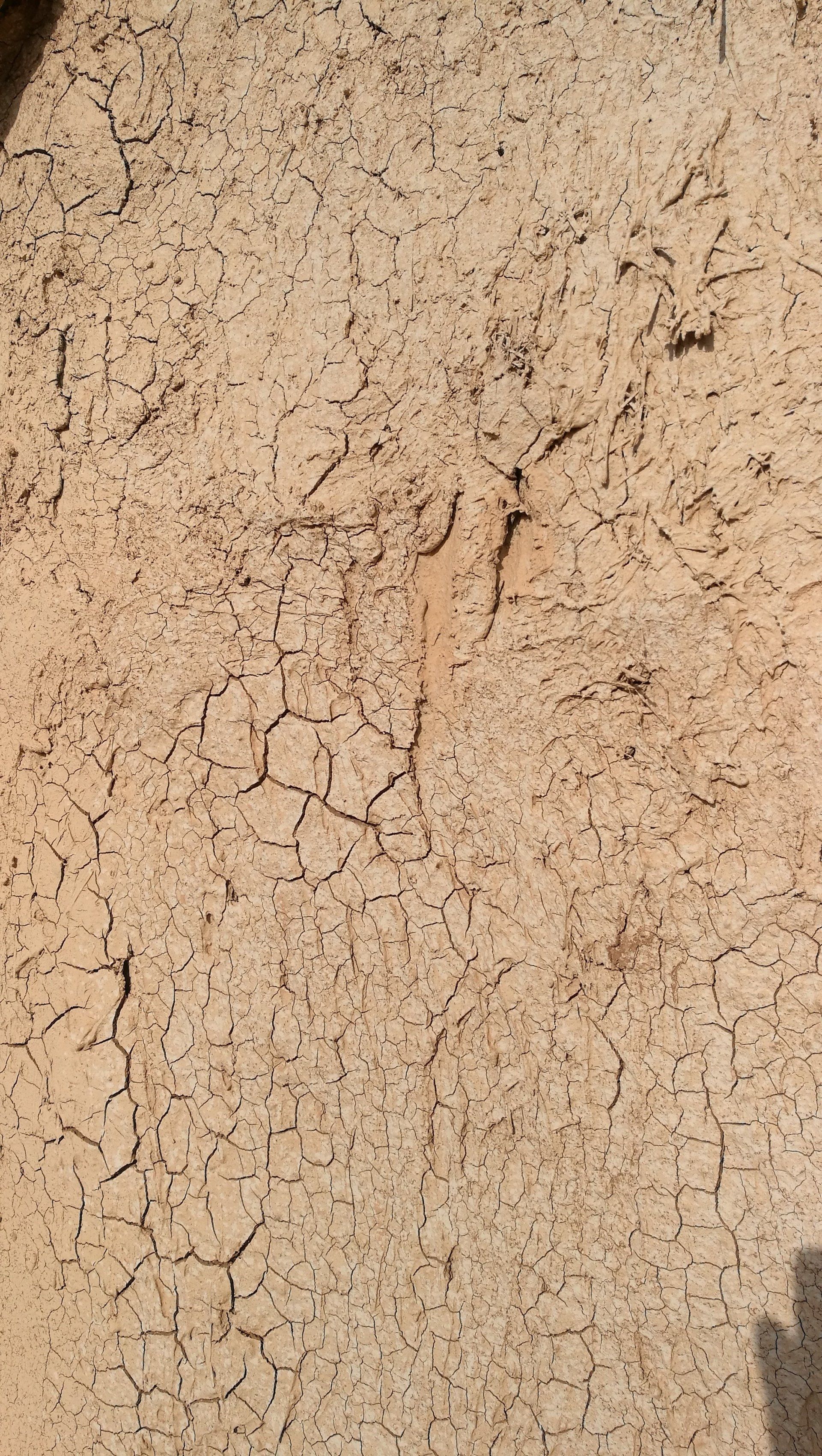 Un primer plano de una pared agrietada con una sombra sobre ella.