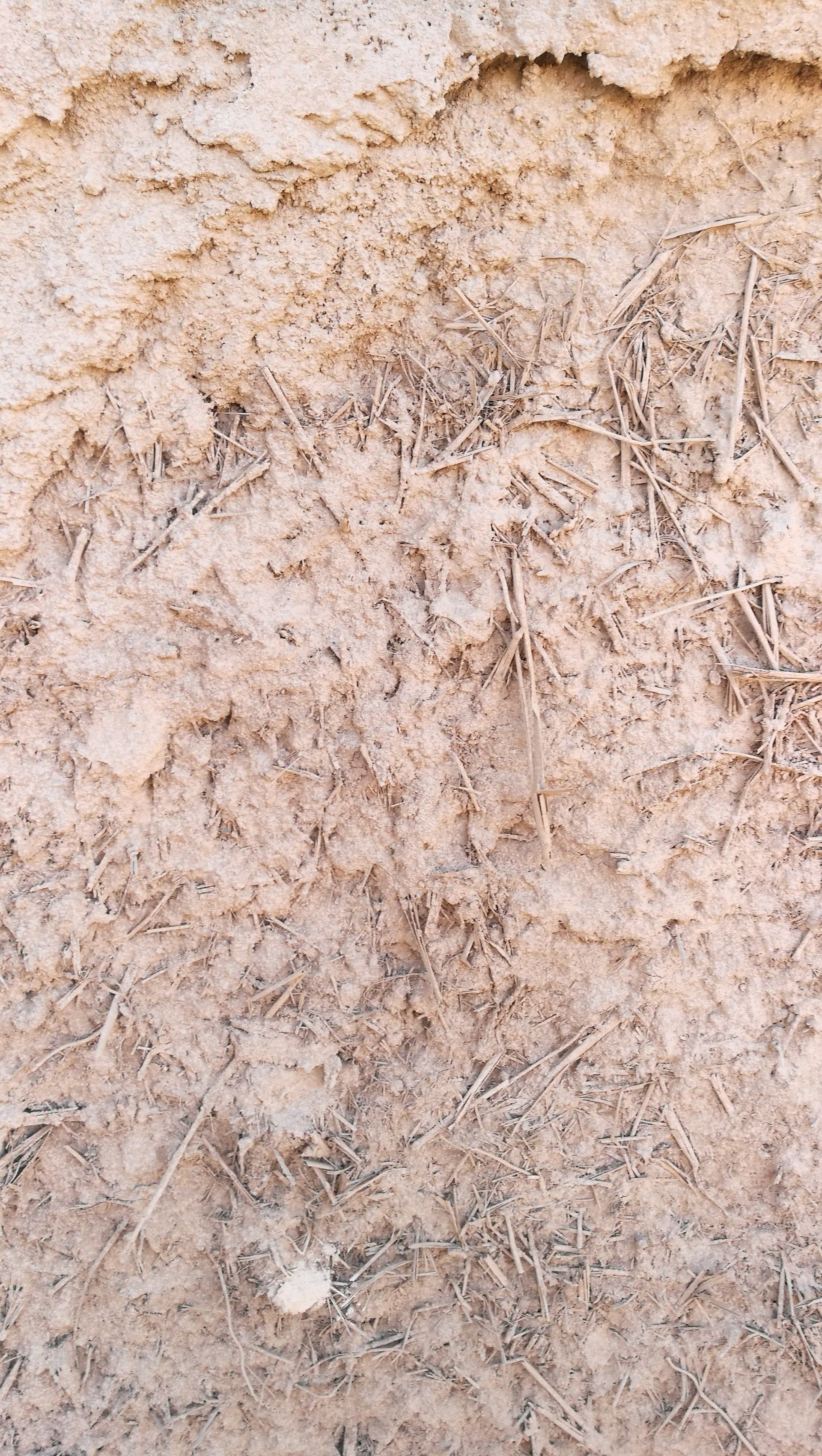 Un primer plano de una pared con mucha suciedad.