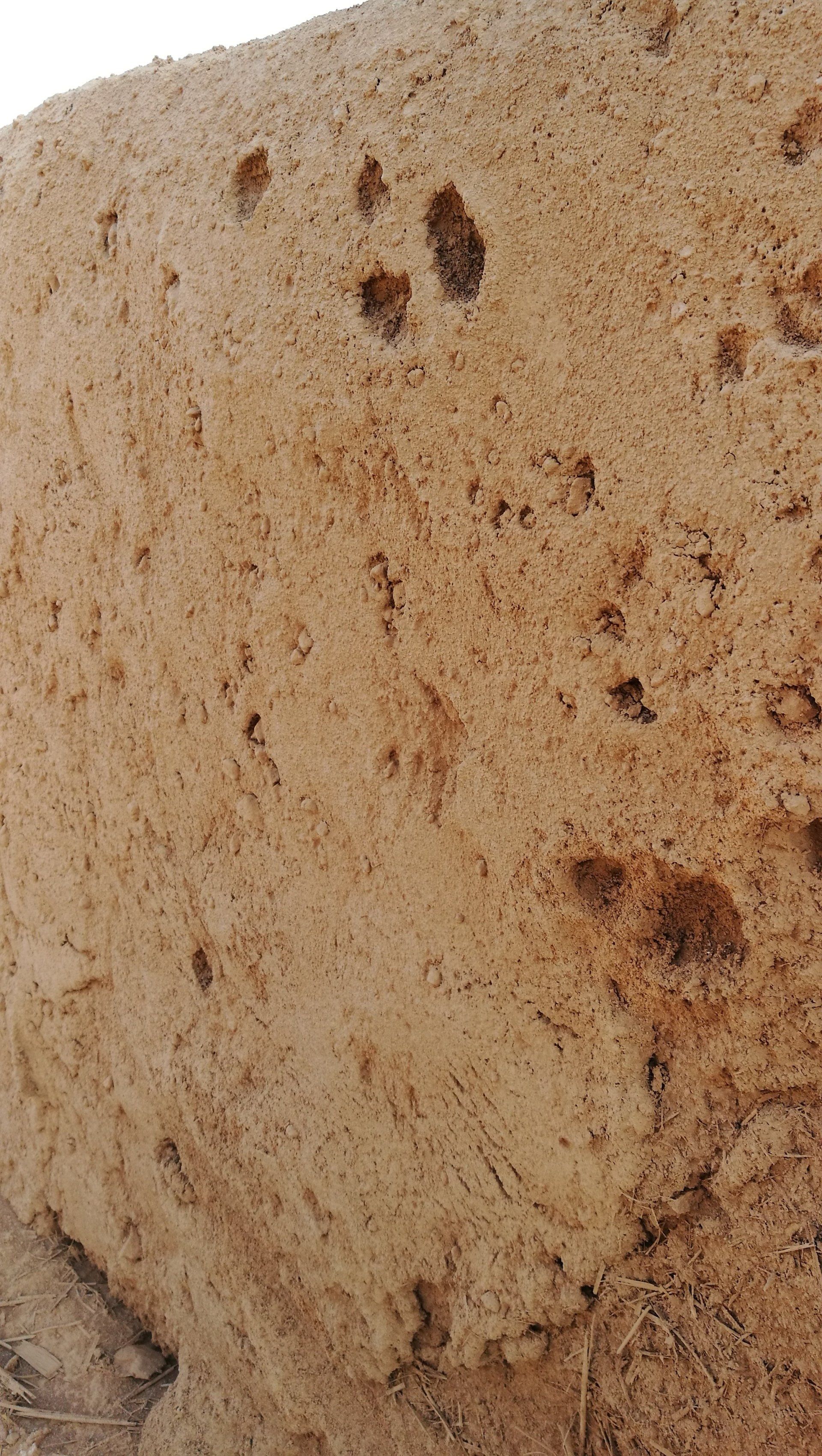 Un primer plano de un trozo de pan sobre un fondo blanco.