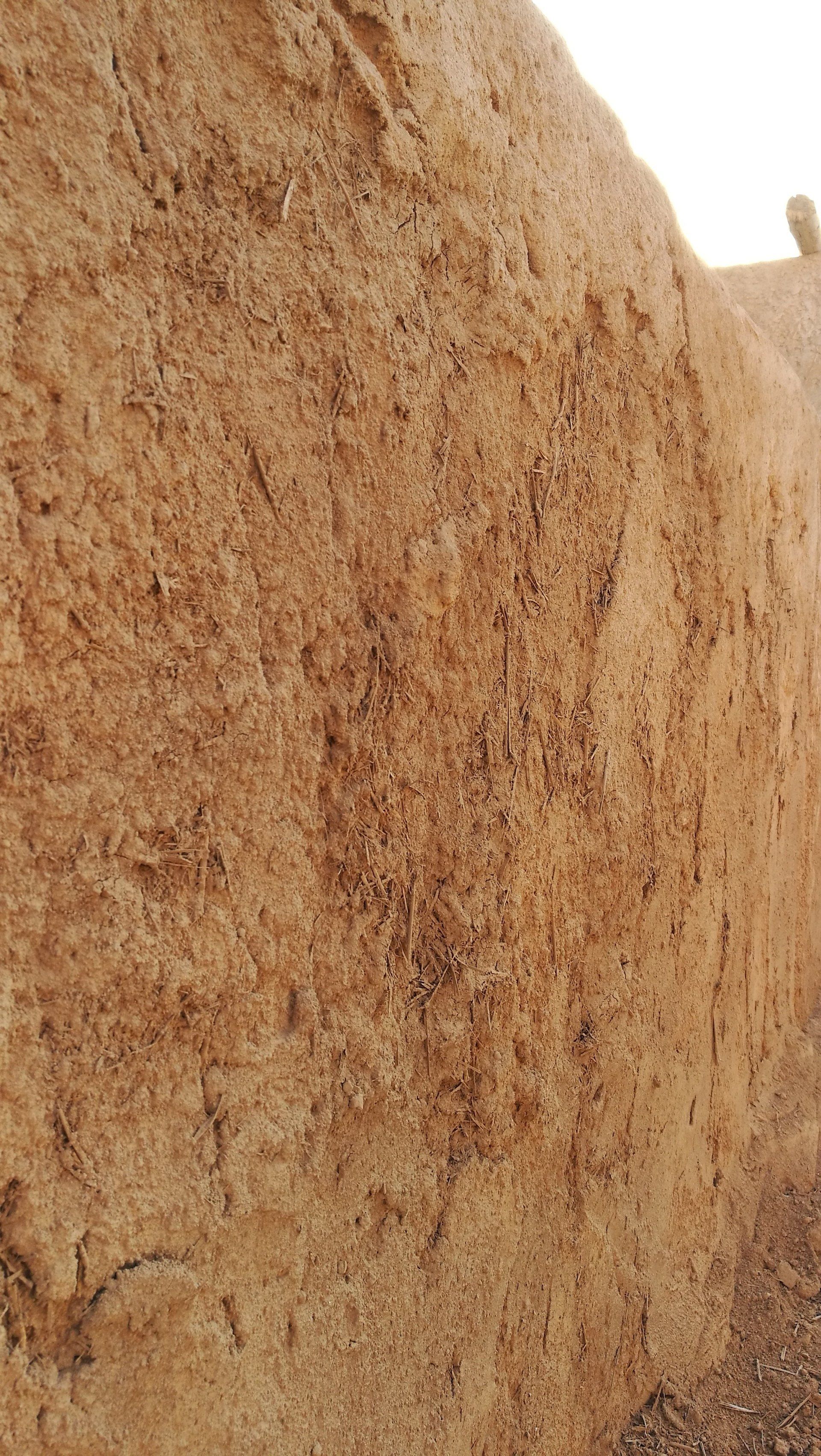 Un primer plano de un montón de tierra sobre un fondo blanco.