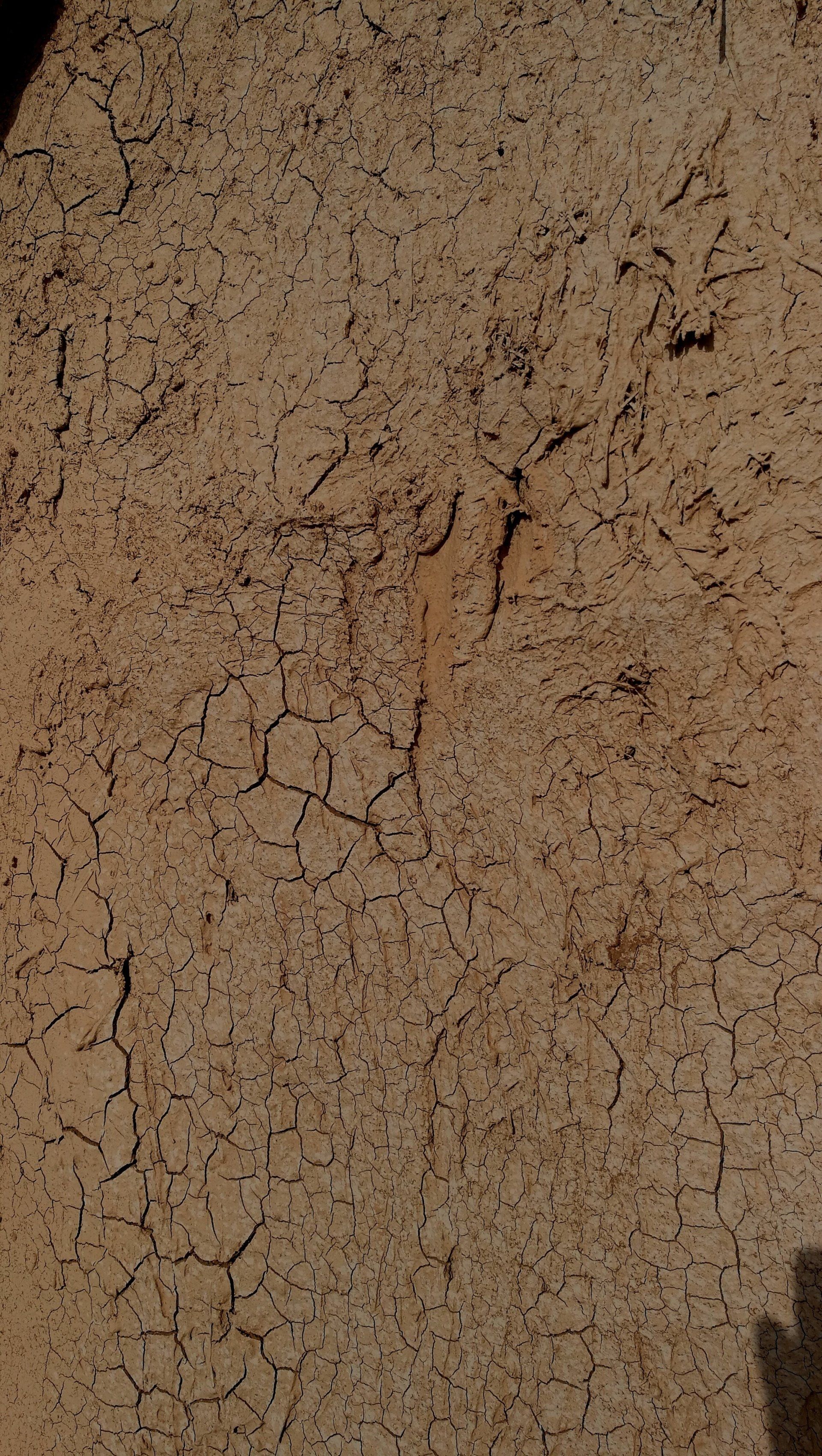 Un primer plano de una pared agrietada con una sombra sobre ella.