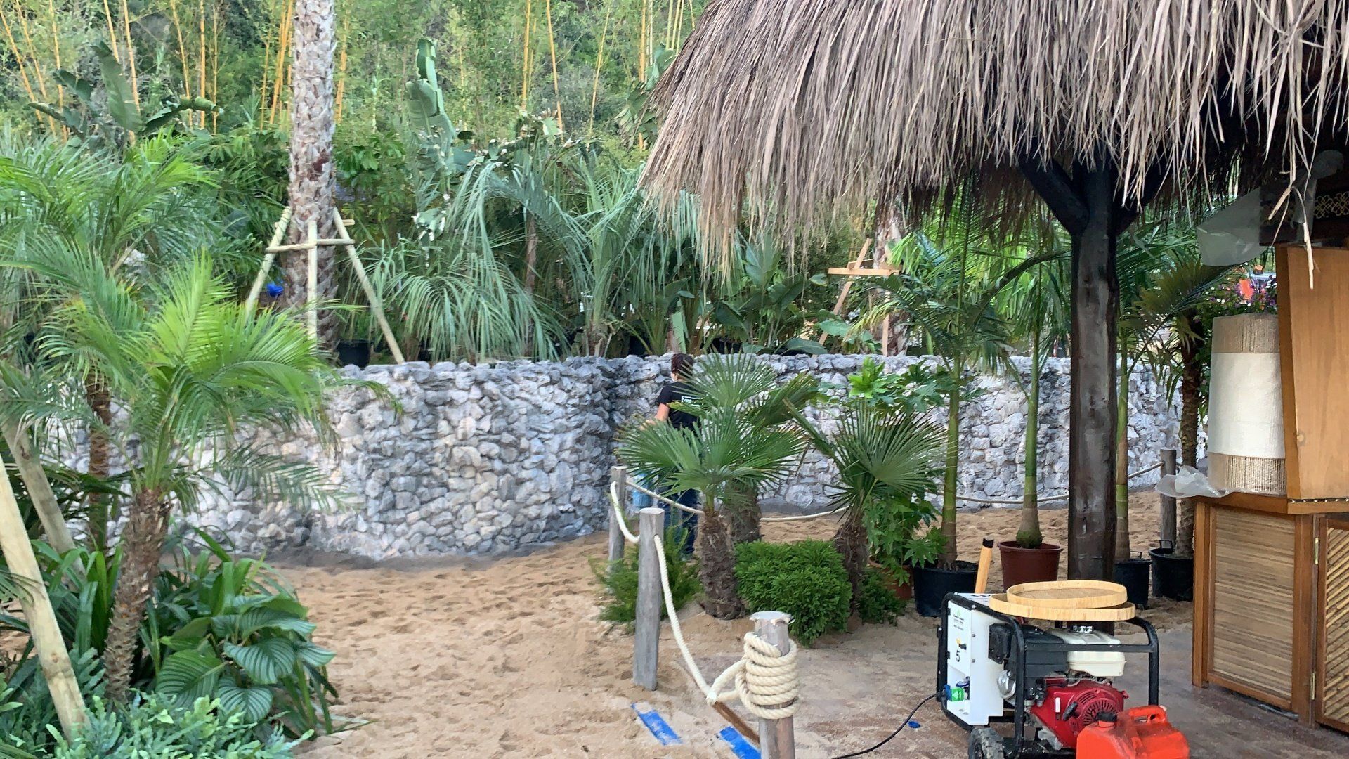 Hay un techo de paja en medio de la jungla.