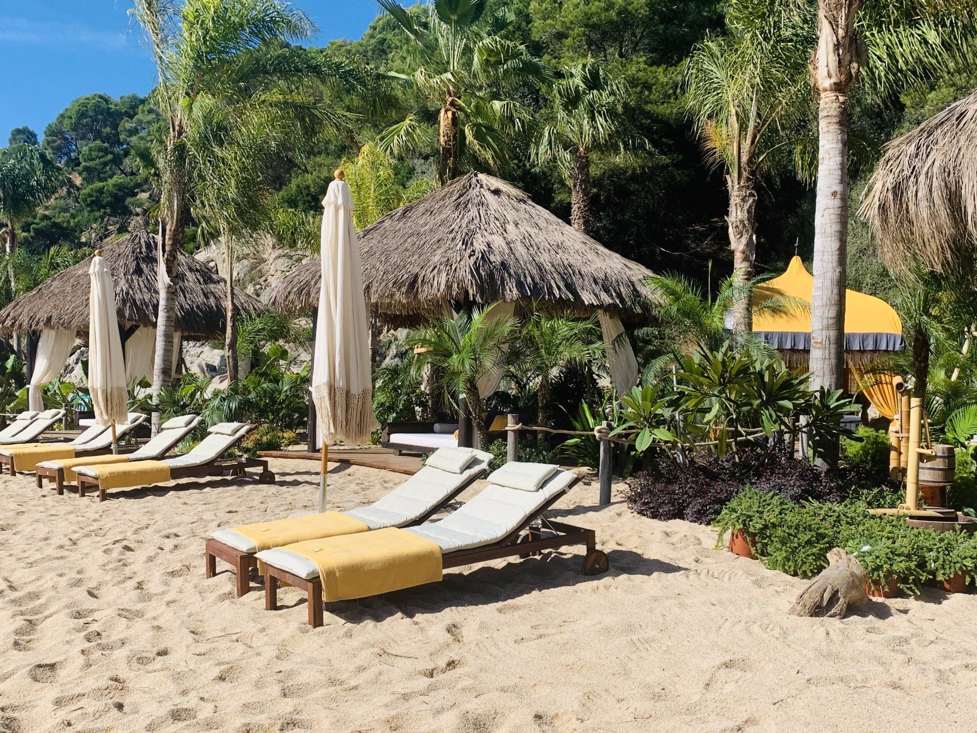 Una playa con muchas sillas y sombrillas