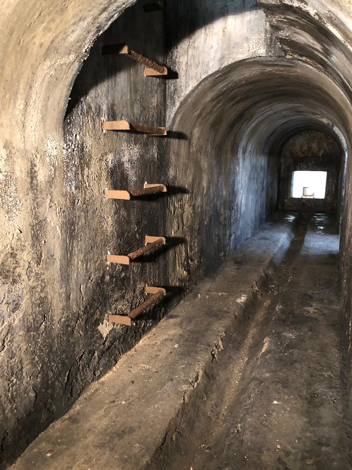 Un túnel con estantes de madera a los lados.