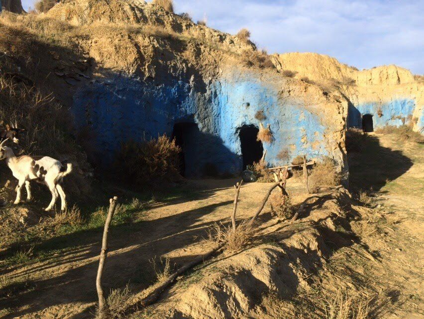Dos perros están parados frente a una cueva azul.