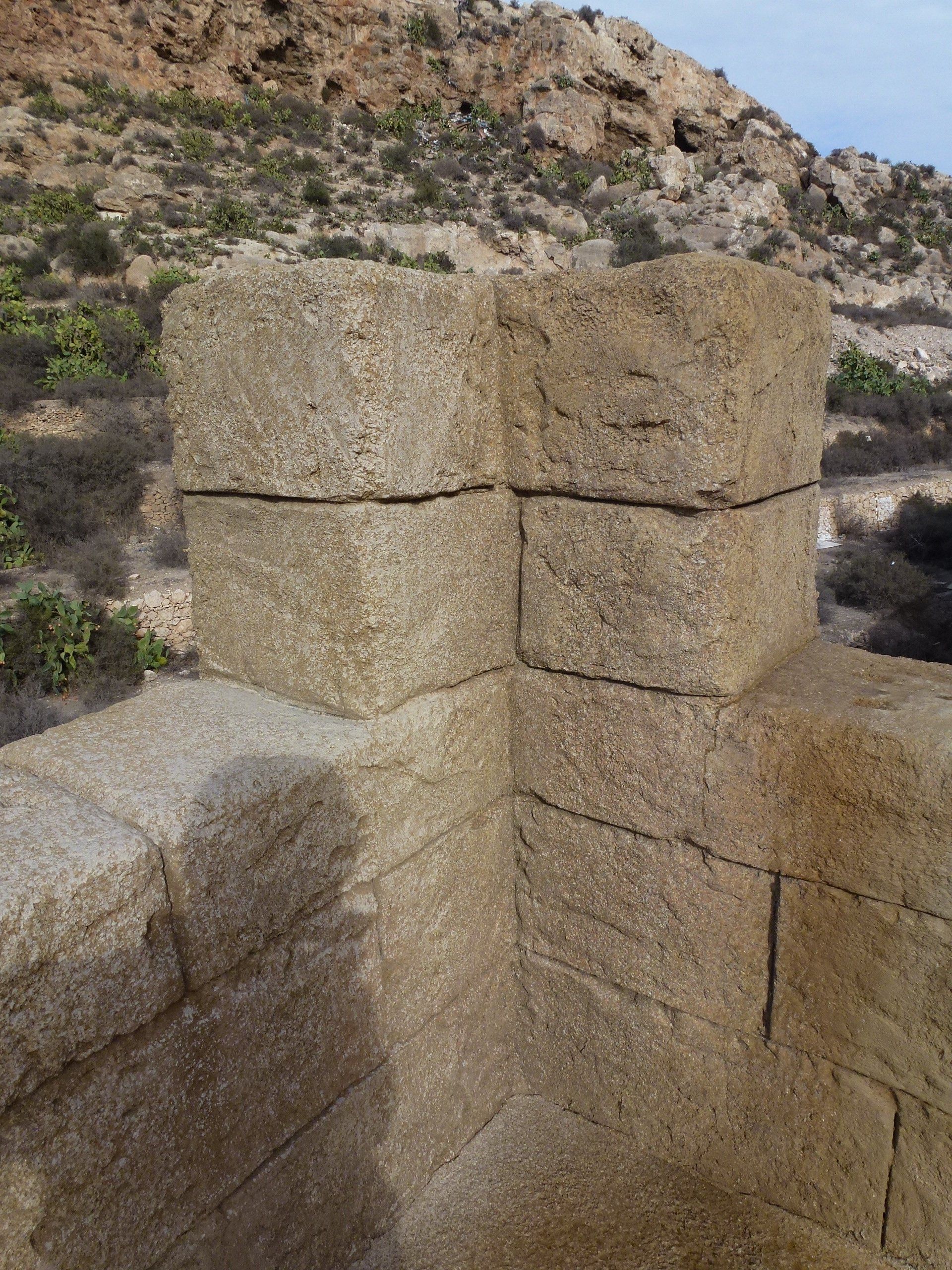 Una pared de ladrillos con una montaña al fondo
