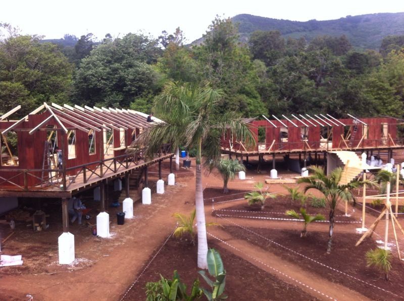 Se están construyendo un grupo de casas sobre pilotes en medio de un bosque.