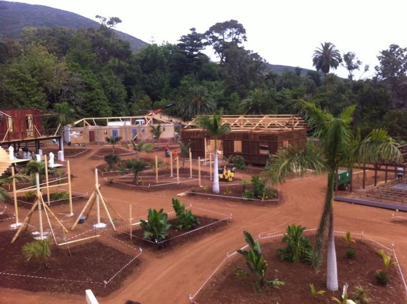 Se está construyendo un edificio en medio de un exuberante bosque verde.