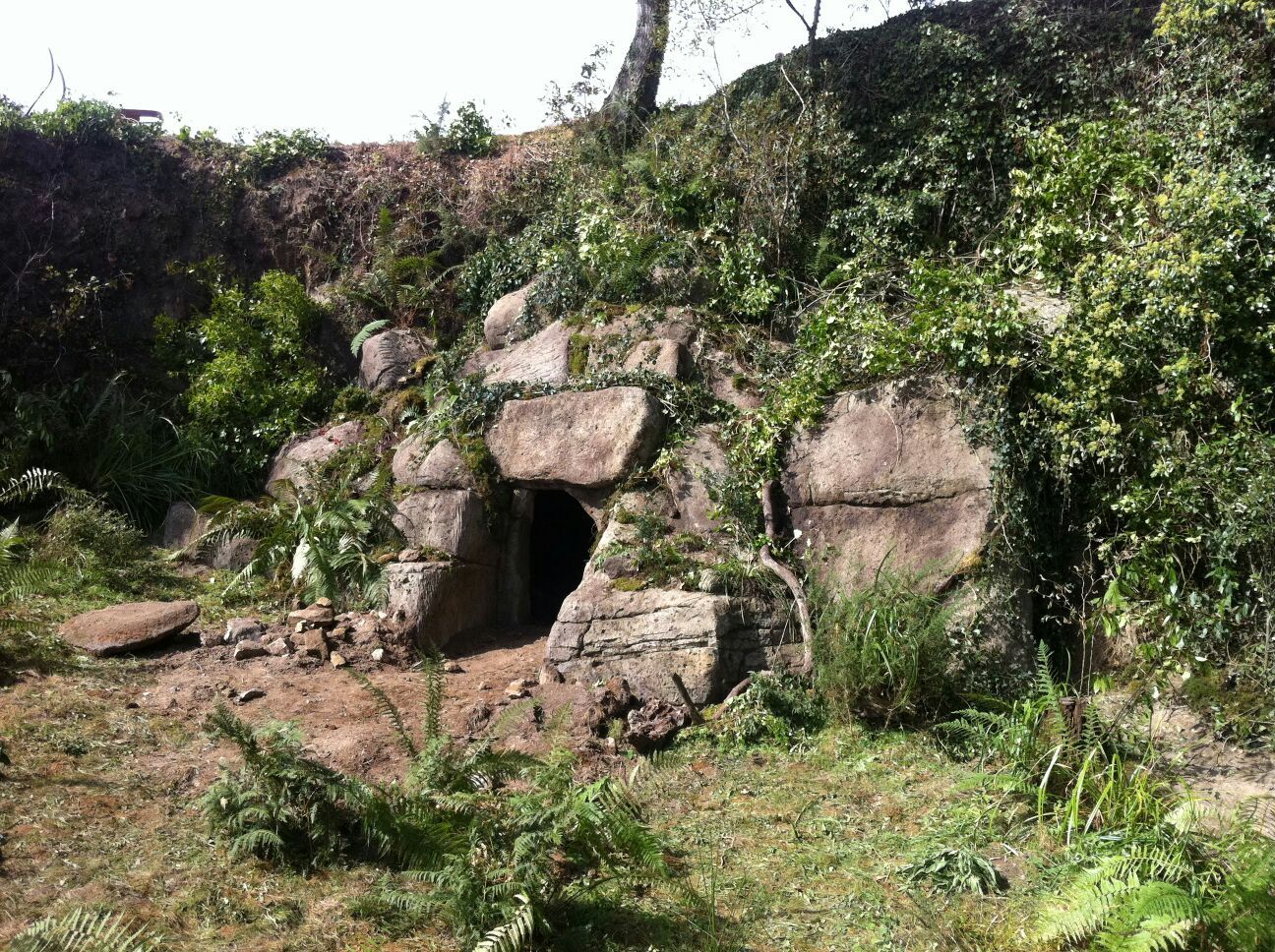 Una cueva en medio de un campo rodeada de árboles y rocas.