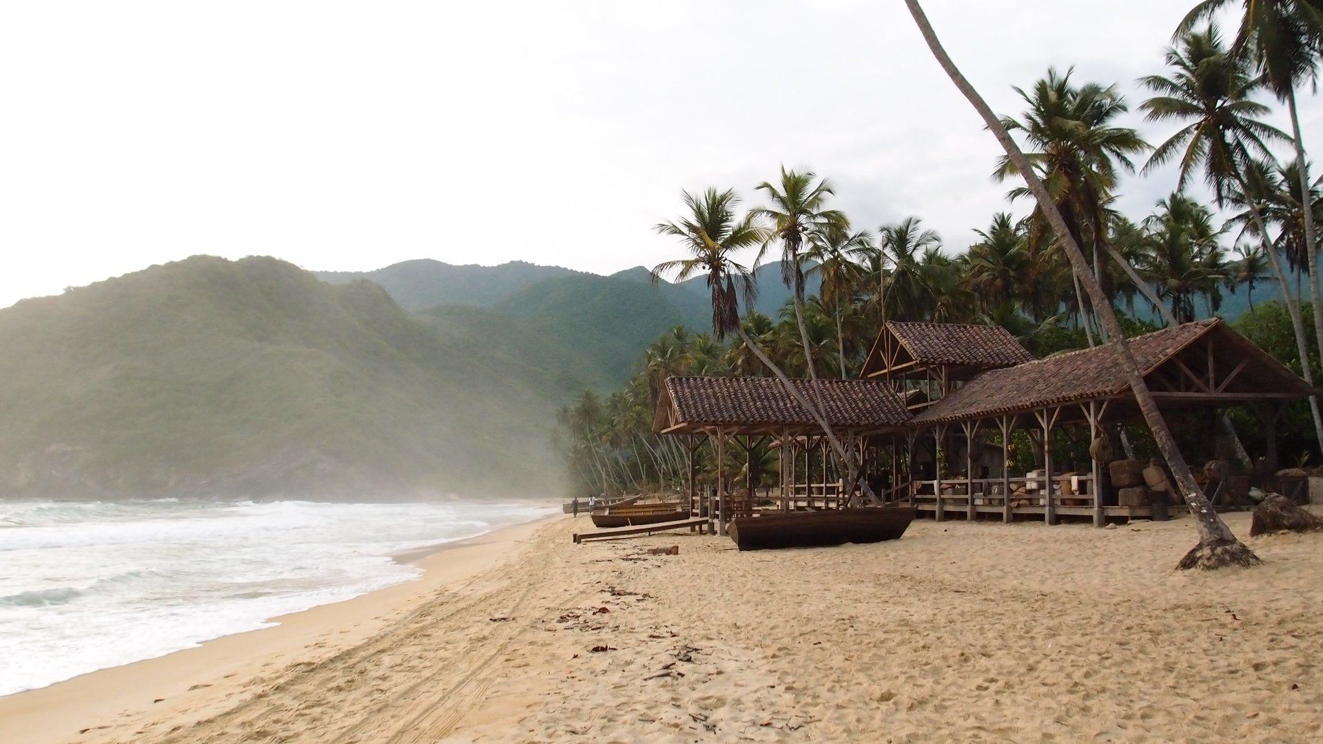 Una playa con palmeras y montañas al fondo