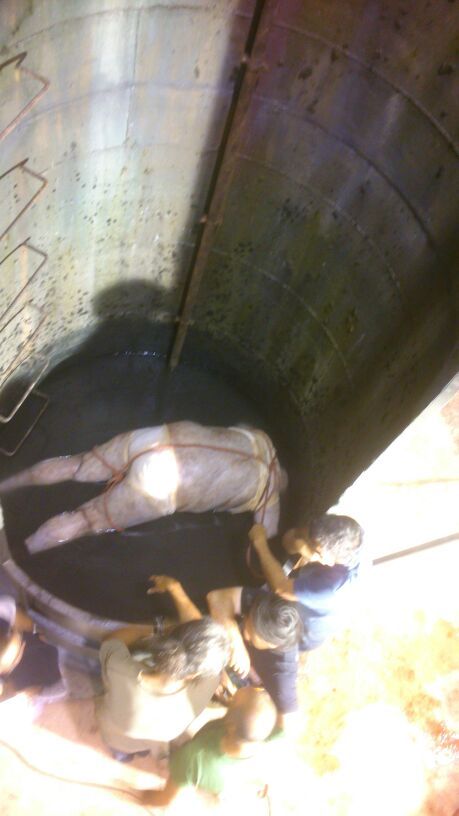 Un grupo de personas está de pie alrededor de un objeto grande.