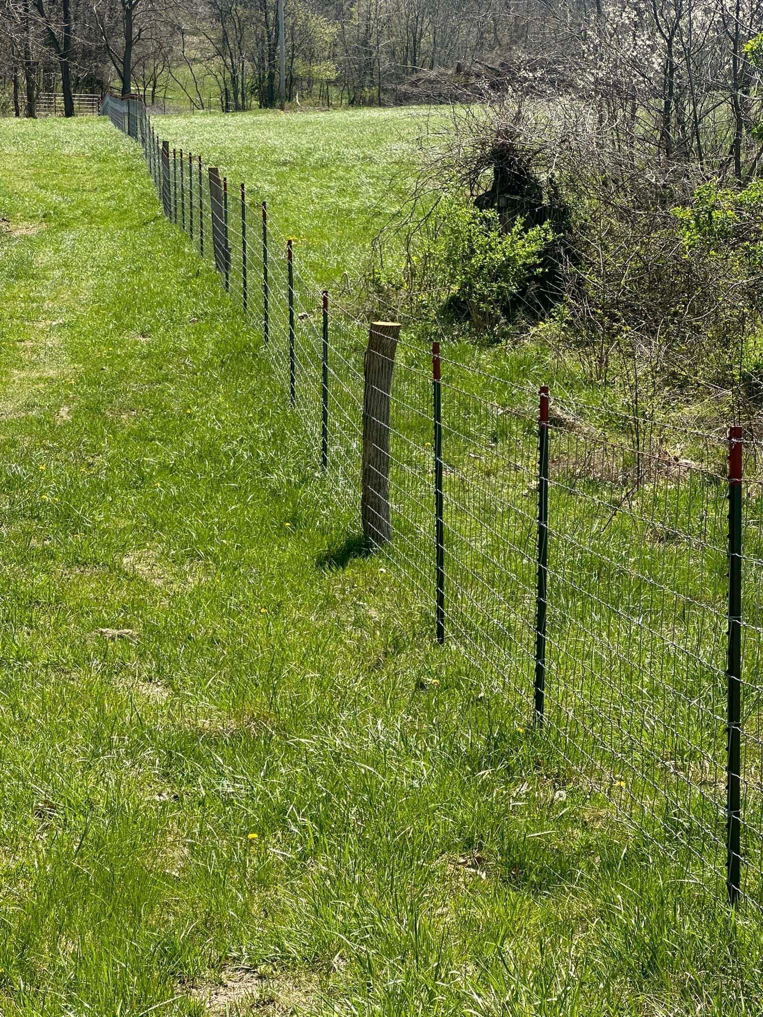 A fence surrounds a grassy field with trees in the background.