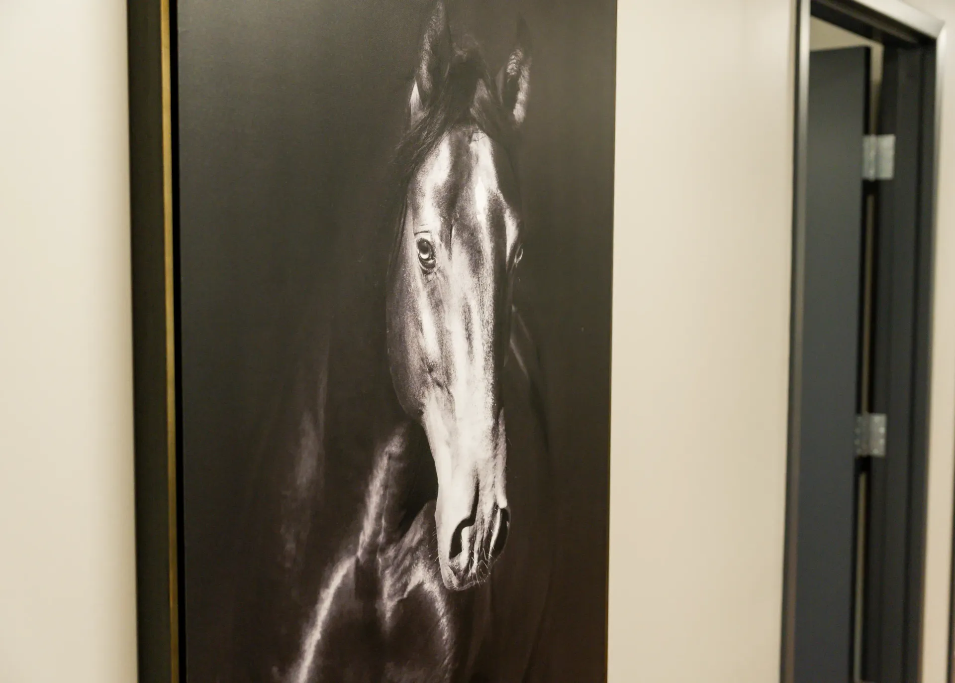 Black and white art of a horse on a wall. The horse is lit from the side, with a dark background.