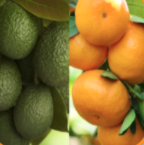 HealthySoil | Agriculture | Plant Nutrients | Farming Equipment