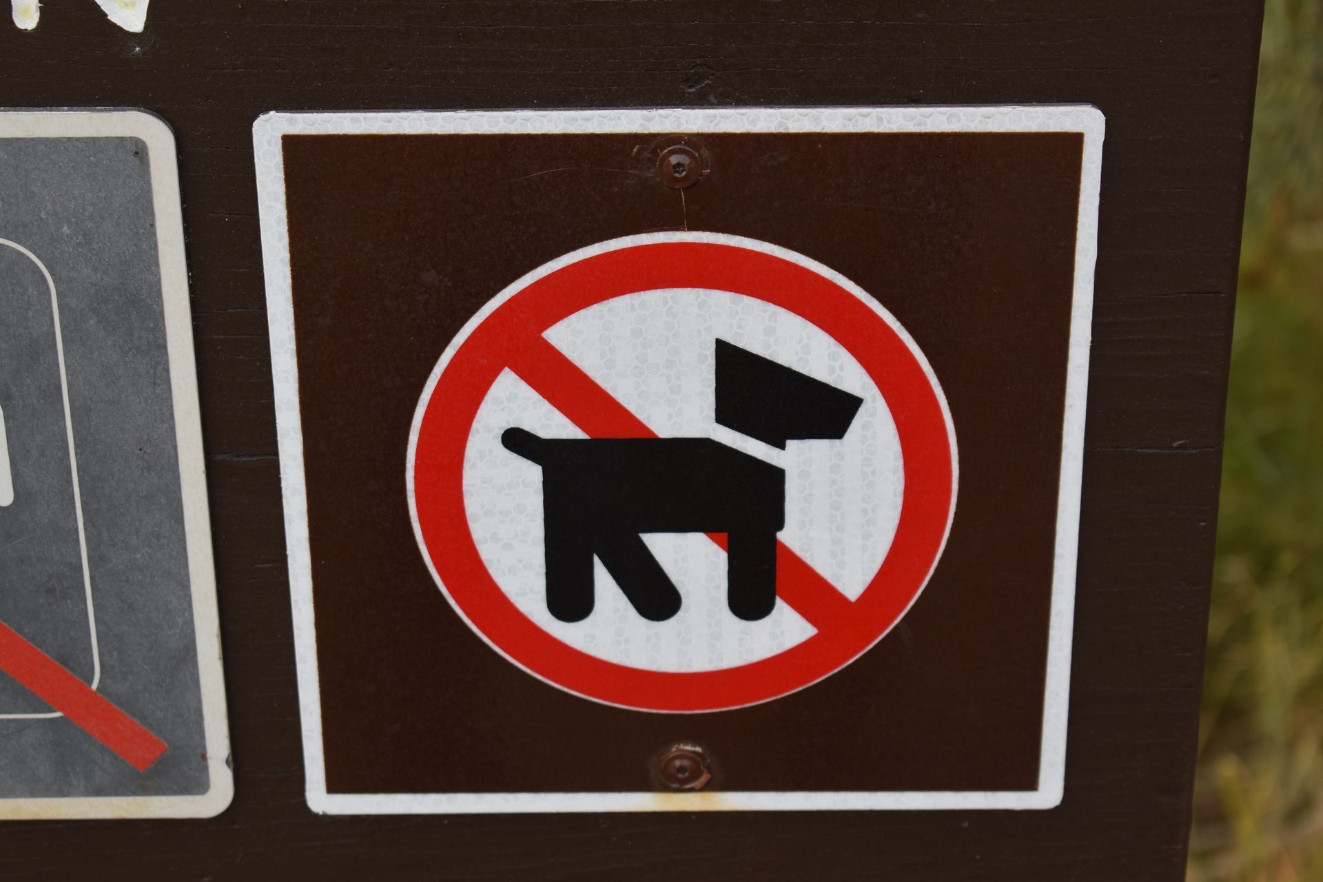 A sign that says no dogs on it.