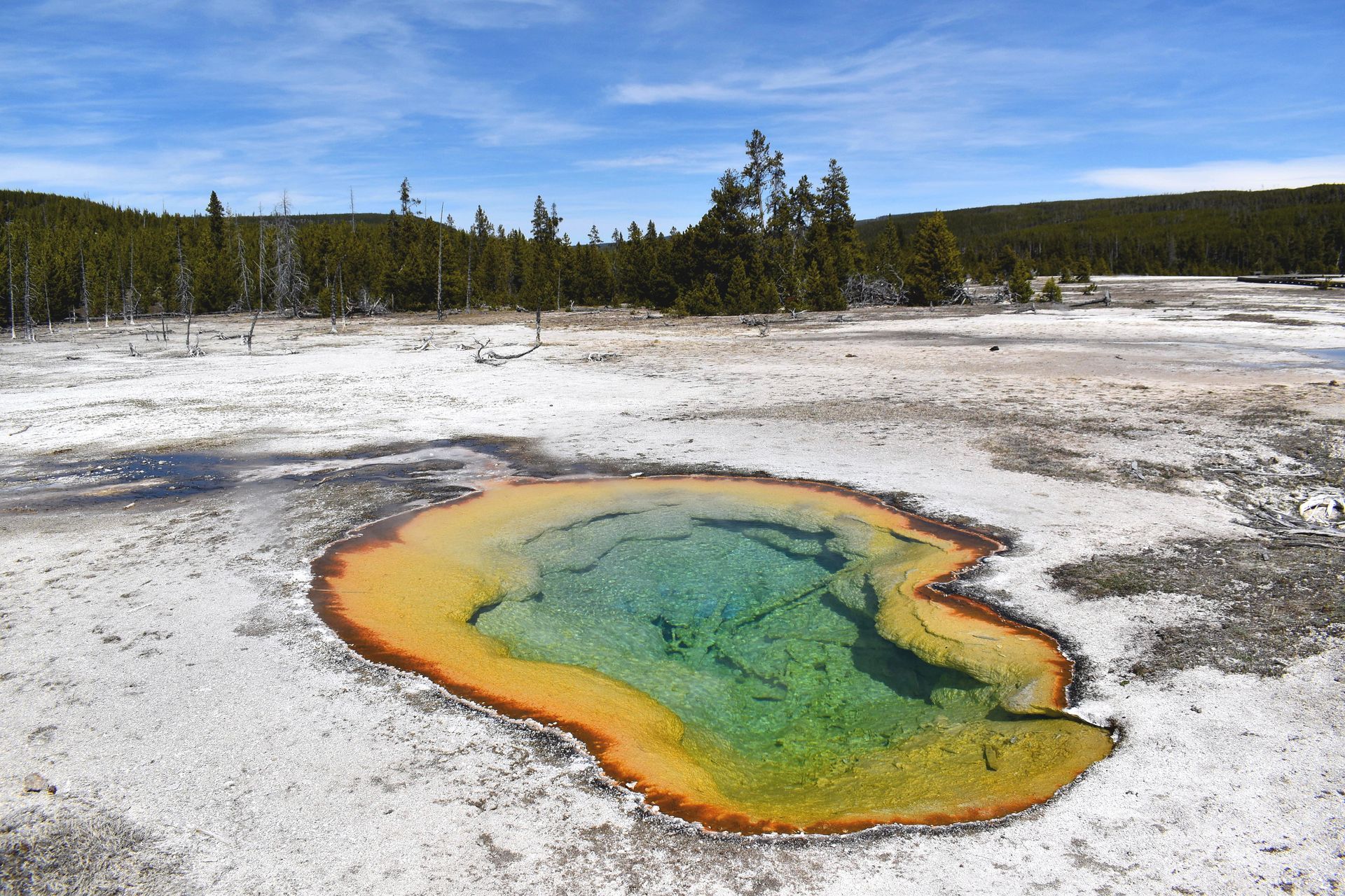 Hot Spring with thermophillic bacteria and algae