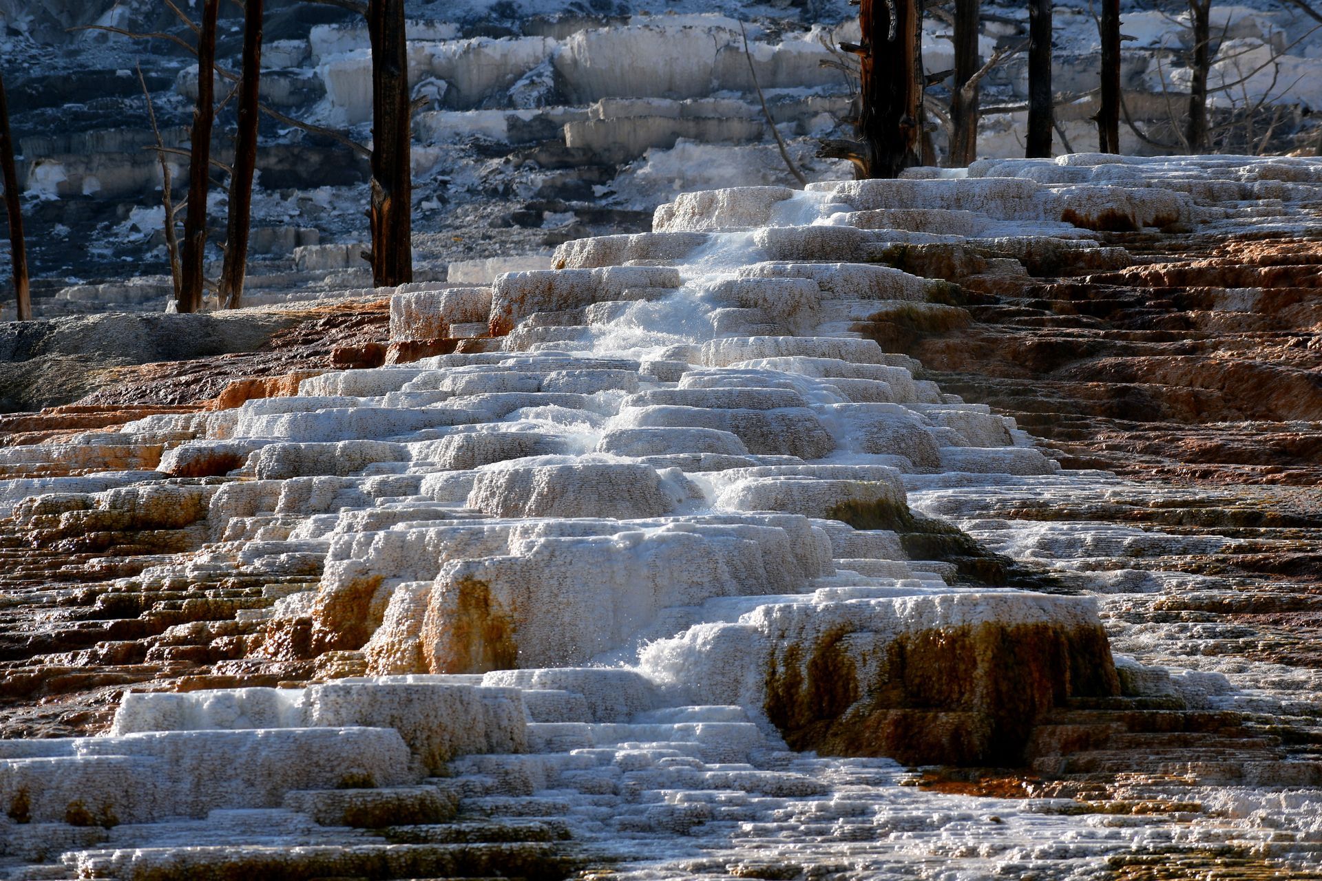 Travertine Terraces at Mammoth Hot spring