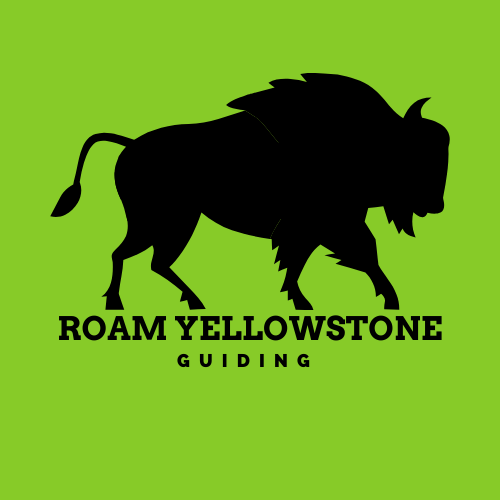Yellowstone Tour guides