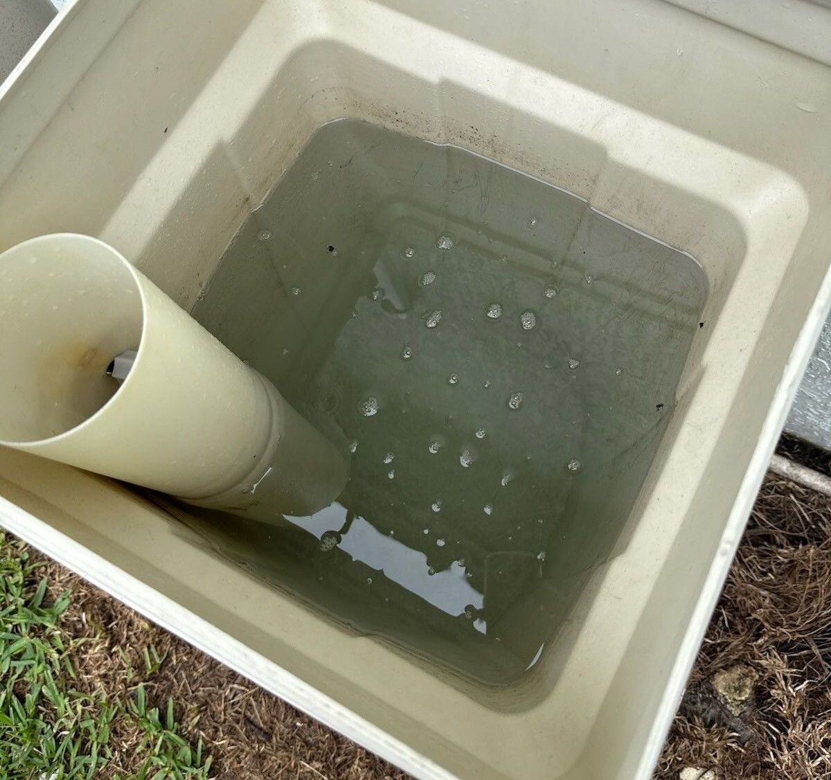 Beige square container with murky water and a white pipe.