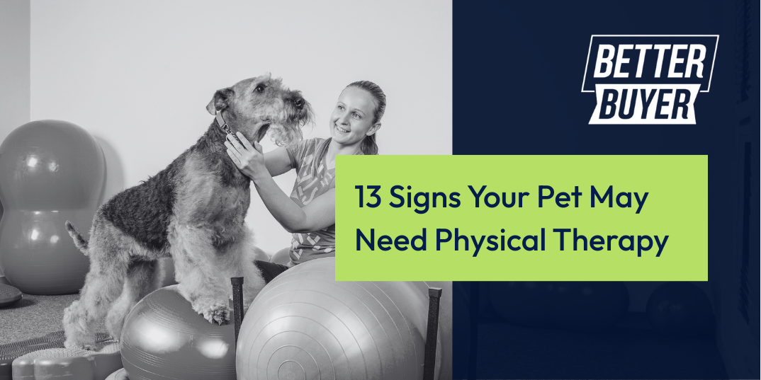 Dog doing physical therapy with a person. Text: 