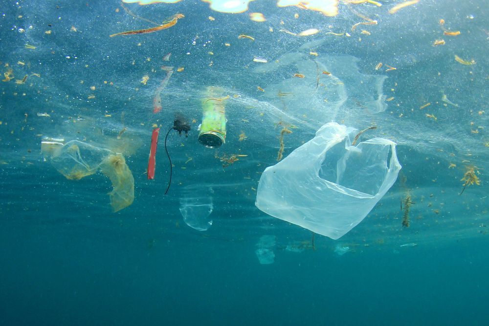 a plastic bag and other plastic pollution floating in the ocean .