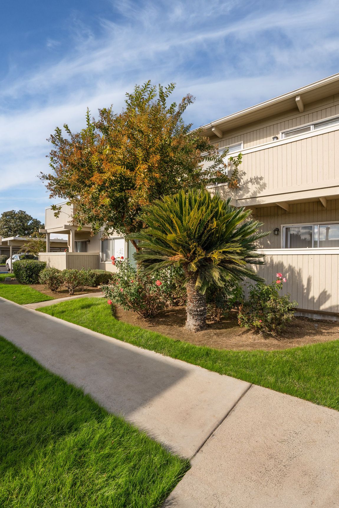 Sidewalk in front of a two-story building with green grass and trees under a blue sky.