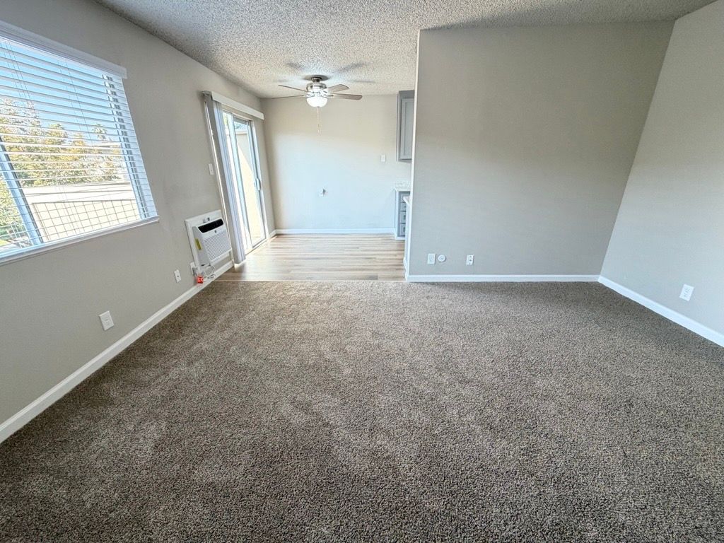 Empty living room with tan carpet, gray walls, sliding door, and window with blinds.