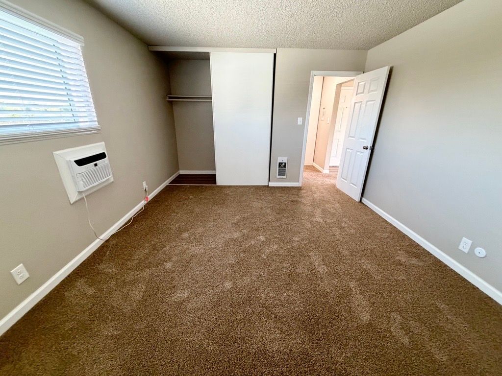 Empty bedroom with brown carpet, closet, open door, and window with blinds.