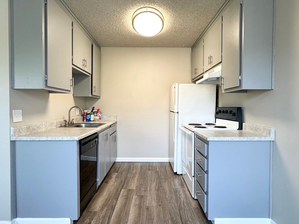 Narrow kitchen with gray cabinets, white appliances, and light wood flooring.