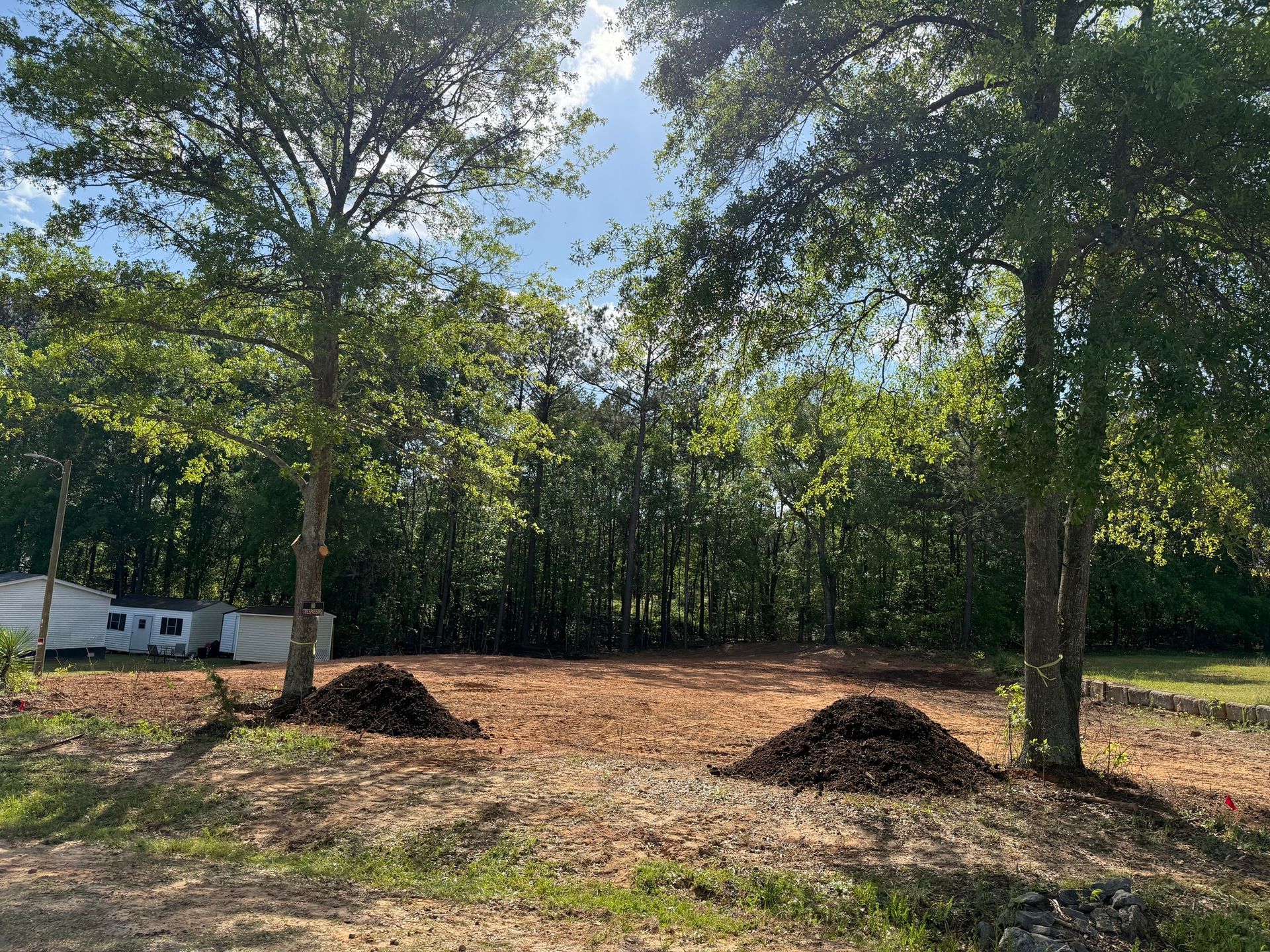 Clearing in wooded area with two trees, piles of mulch, and RV to the left. Sunny day.