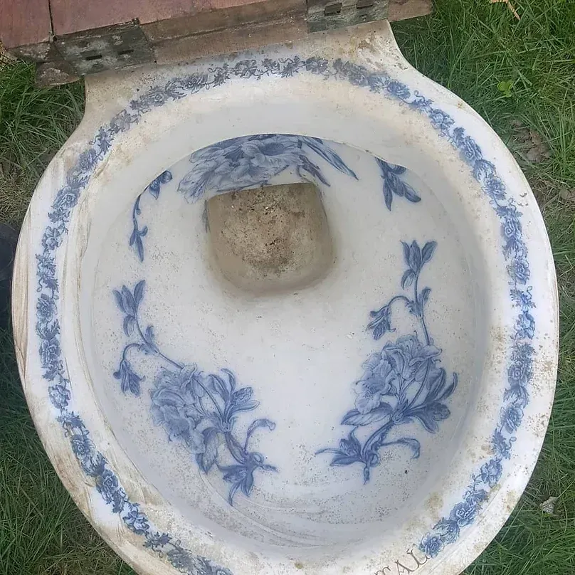 A white toilet with blue flowers on it