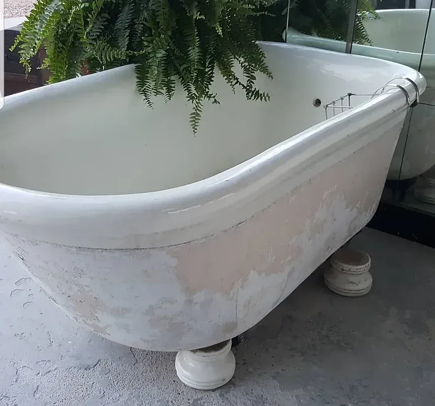A white bathtub with a plant in it