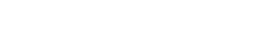 Logo for Techsauga