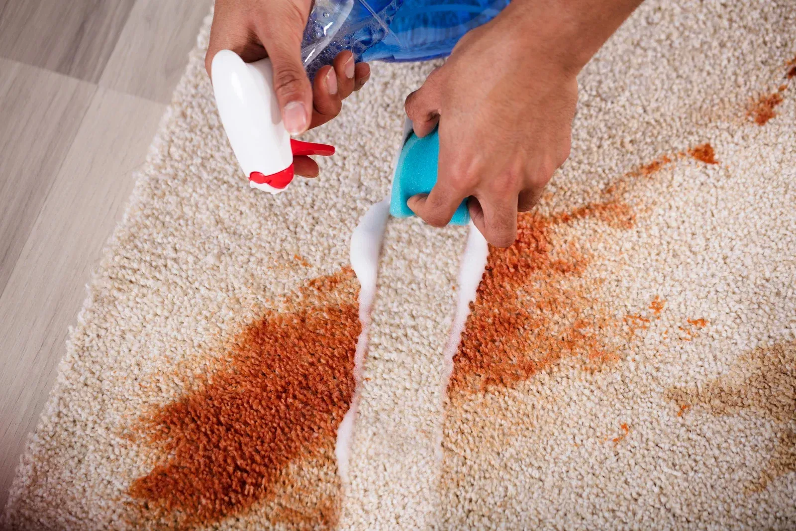 A person is cleaning a carpet with a spray bottle and a sponge.