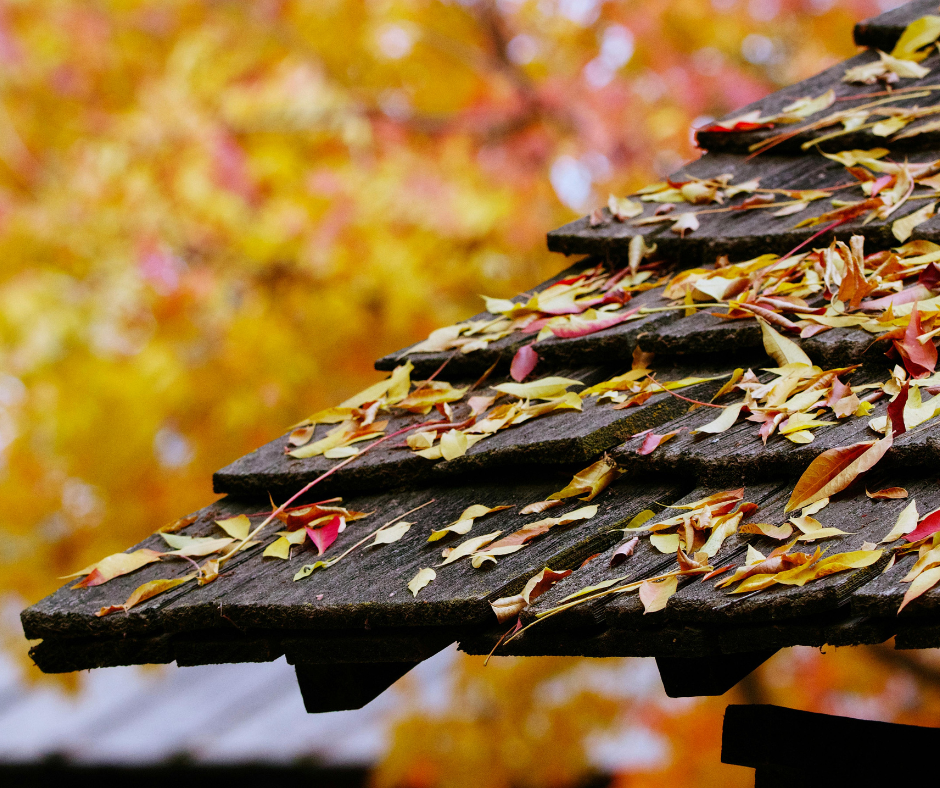 roof maintenance