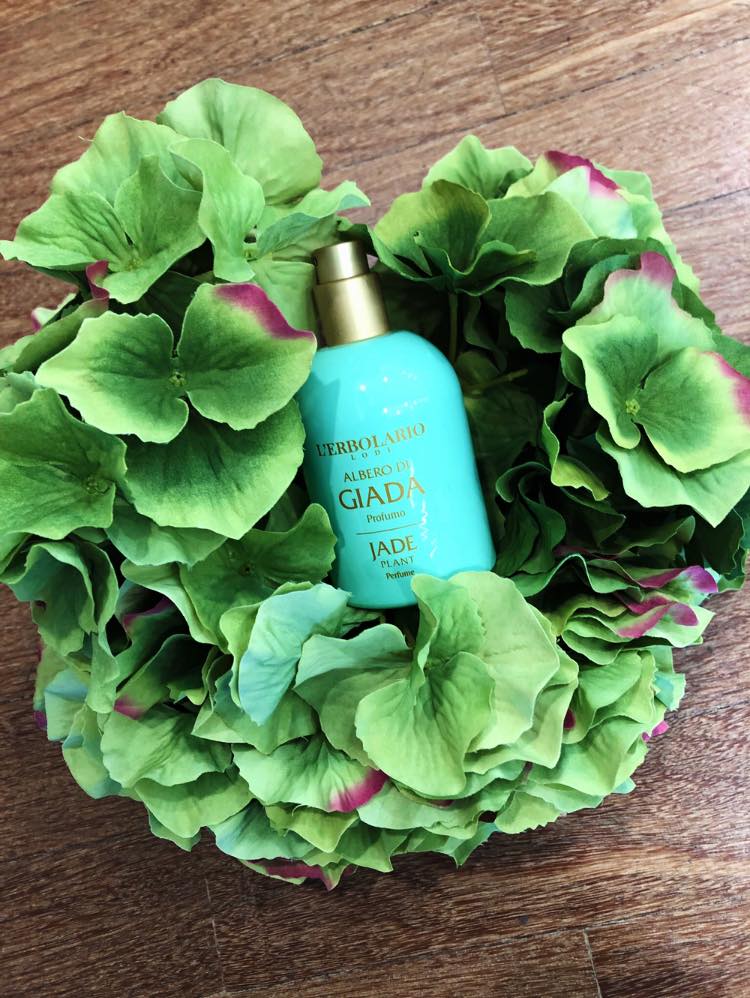 profumo albero di Giada